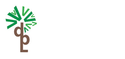 Valion developers